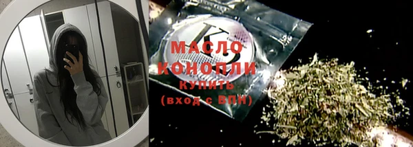 индика Богданович