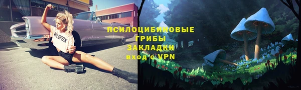соль курить ск Богородск