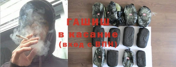 индика Богданович