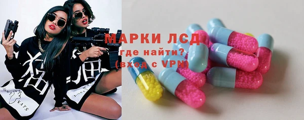 индика Богданович