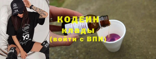 индика Богданович