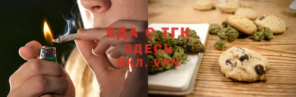 индика Богданович