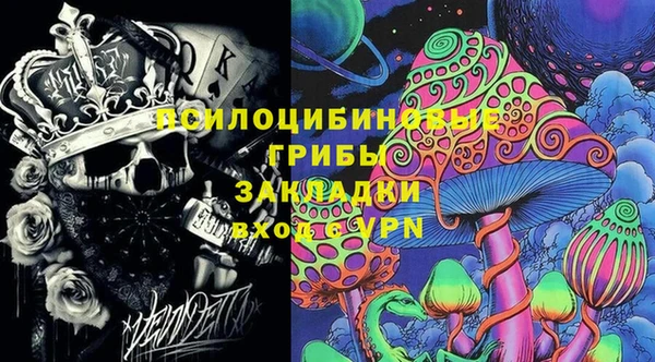 индика Богданович