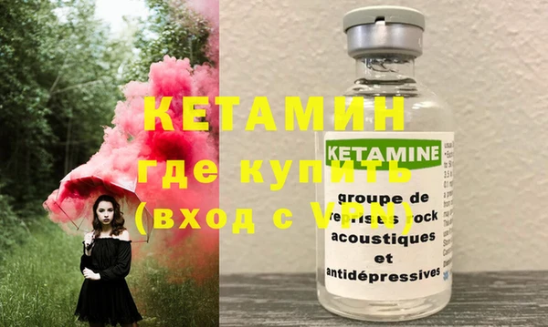 индика Богданович