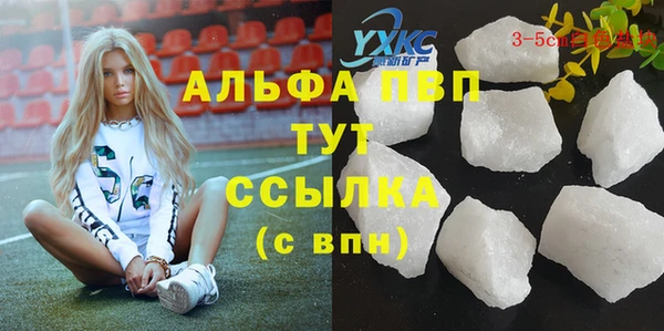 индика Богданович