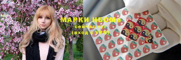индика Богданович