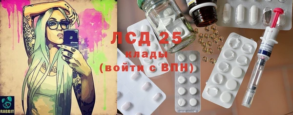 индика Богданович