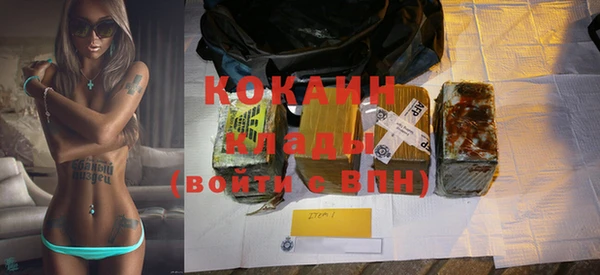 индика Богданович