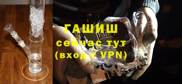 индика Богданович