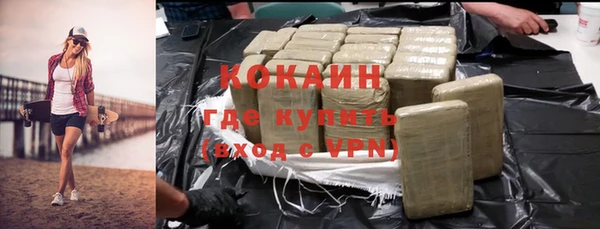 индика Богданович