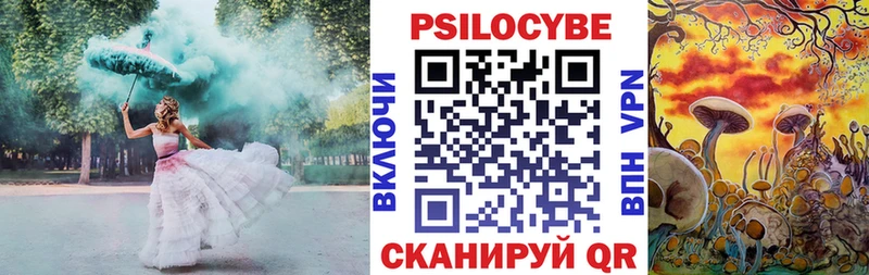 маркетплейс наркотические препараты Берёзовка Псилоцибиновые грибы Cubensis